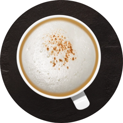 A white cup filled with frothy coffee topped with a sprinkle of cinnamon, viewed from above.